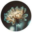 Fototapet med skinnende blomsterhjerte - Treechild - Rundt - Selvklæbende/ikke-vævet