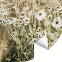Fototapet Sommereng med kamille - Annie - Rund - vliesetapet/selvklæbende non-woven tapet