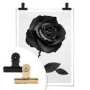 Ireland Plakat - Fabric Rose