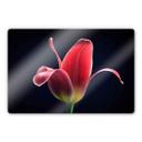 Glasbillede - Grønkjær - First Tulip