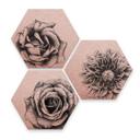 Hexagon Dibond Set Koper Effect - Kools - Flowers