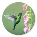 Tableau sur verre rond van Duijn - Colibri dans la magie des fleurs roses