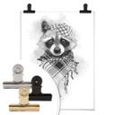 Póster Kools - Mapache Rocco