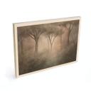 Houten Wanddecoratie bosmagie in de ochtendnevel beige - Ms Tiff