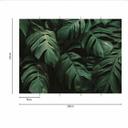 JungleLeaves jungle tapet i sort grøn - non-woven tapet Designwalls 2 - 2,55 x 3,5 m