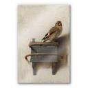 Akrylbillede Fabritius - Guldfinken