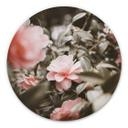 Tableau sur alu-Dibond Annie - Roses - Rond