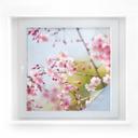 Film occultant - Cherry Blossoms - carré