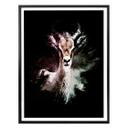 Plakat - Hugonnard - Wild Explosion: Antilope