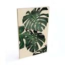 Billede af træ Sisi & Seb - Monstera