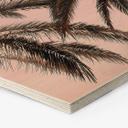 Hexagone - Bois 1X Studio - Palmiers