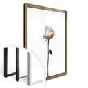 Plakat - Den hvide rose