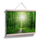 Póster Bosque soleado