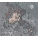 Livingwalls Fototapet Walls by Patel Bouquet Gris 1