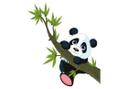 Decoración de ventanas Panda trepador