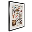 Póster Marrón - Fauna norteamericana