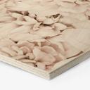 Hexagone - Bois 1X Studio - Reine marguerite abricot 