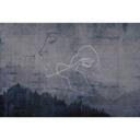 Architects Paper Papier peint photo Atelier 47 Silver Outline forêt