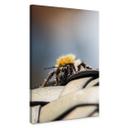 Lienzo Marrón - Macro abeja