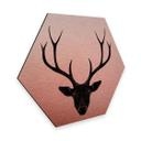 Hexagone - Tableau sur alu-Dibond - Effet cuivré - Ireland - Le cerf noir