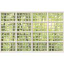 Architects Paper Papier peint photo Atelier 47 Brick of Glass 