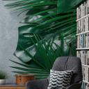 Nature PalmLeaves tapet i grågrøn - non-woven tapet Designwalls 2 - 2,55 x 3,5 m