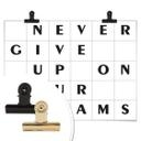 Plakat - Gitter - Never give up on your dreams