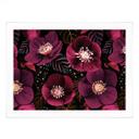 Plakat Blomsterpragt i lilla toner - Anis-illustration
