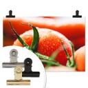 Poster - Fresh Tomato