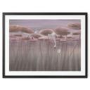 Poster lotusbloemen met zwaan in water in donkerroze - Ms Tiff