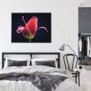 Plakat - Grønkjær - First Tulip
