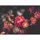 Romantisk blomster roser non-woven tapet Designwalls i rød og orange 