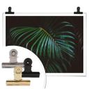 Plakat - Botanical 04