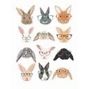Fotomural de conejos con gafas - Melin