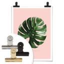 Póster Suelto - Monstera Ant
