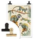 Póster Marrón - Monos ardilla