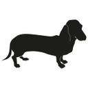 Gravhund 1