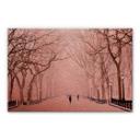 Tableau en alu-Dibond - Effet cuivre- L'hiver à Central Park