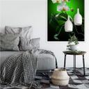 Zelfklevende Poster - Beautiful Orchid