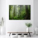 Canvasbillede, Tropisk jungle