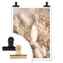 Plakat - Annie - Pumpkin Grass