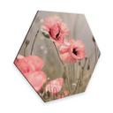 Hexagone - Alu-Dibond Delgado - Fleur de coquelicot romantique