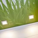 Sticker mural - Touffes d'herbe
