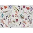 Architects Paper Papier peint photo Atelier 47 Bird Poetry oiseaux