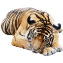 Sticker mural - Tigre réel au repos