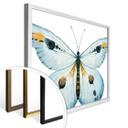 Póster Kvilis - Mariposa 03