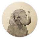 Cuadro de madera Sisi & Seb - Bebé elefante - Redondo