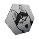 Aluminium Dibond met zilvereffect Siberische husky - Hondenportret - Korenkova - Zeshoek