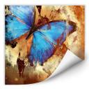 Poster autocollant - W - Butterfly Ice