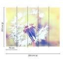 Livingwalls papier peint photo Designwalls Dandelion
